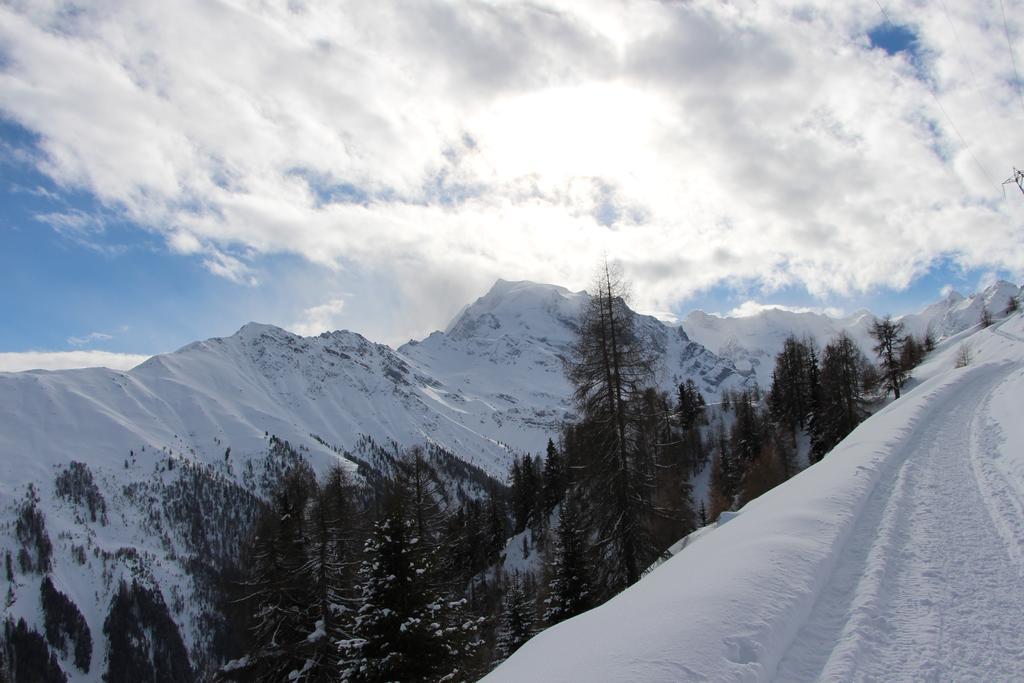 Greif 3* Mals im Vinschgau